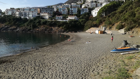 Platja del Cau del Llop