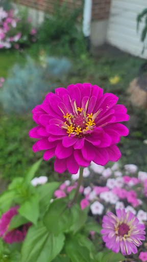 Coffee Shop «Starbucks», reviews and photos, 2450 E Main St, Bexley, OH 43209, USA