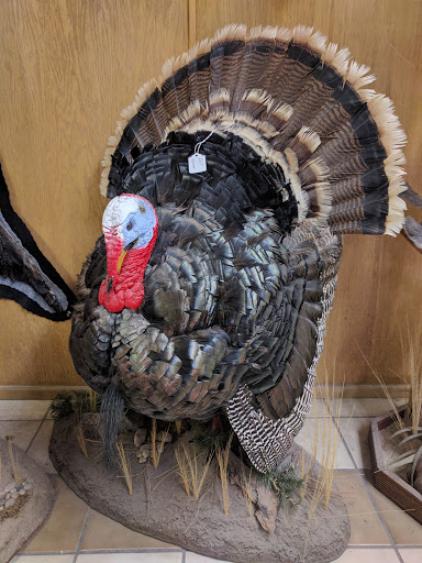 R & R Taxidermy