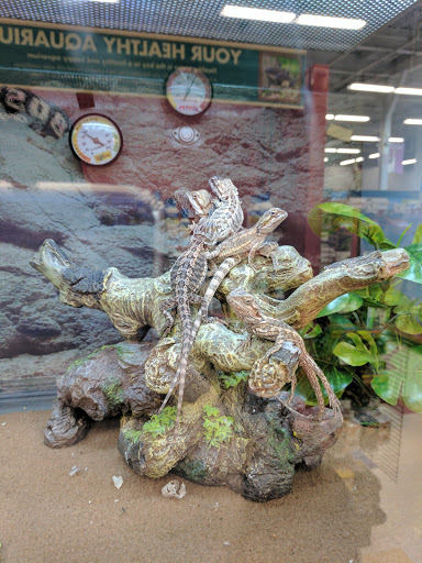 Pet Supply Store «Petco Animal Supplies», reviews and photos, 92 Cluff Crossing Rd, Salem, NH 03079, USA