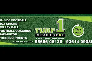 Turf 1 image