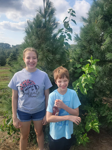 Christmas Tree Farm «Piney Acres», reviews and photos, 1115 E 1000 N, Fortville, IN 46040, USA