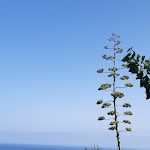 Photo n°10 de l'avis de Lena.a fait le 29/07/2023 à 06:09 sur le  Hotel Villaggio Stromboli à Torre Marino