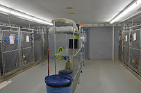 Countryaire Kennels, Inc. - Photo 5 - Car repair in Germantown, WI, Milwaukee