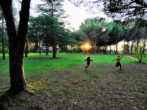 parc de la Calade à Castries