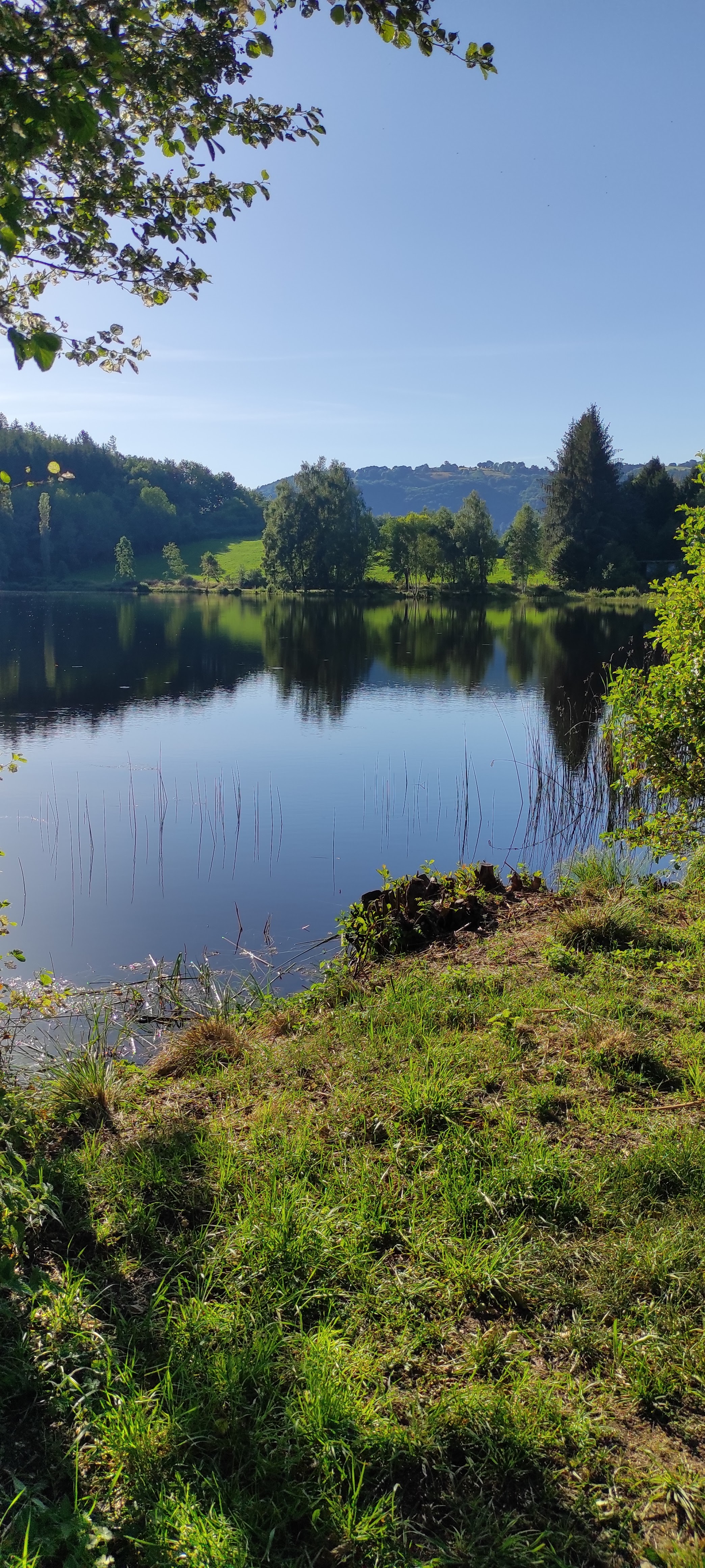 Photo n° 5 de l'avis de Nicolas.G fait le 24/07/2022 à 16:41