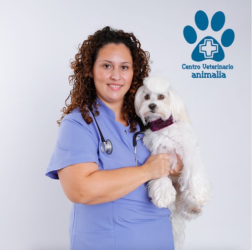 Animalia Centro Veterinario en Chiclana de la Frontera