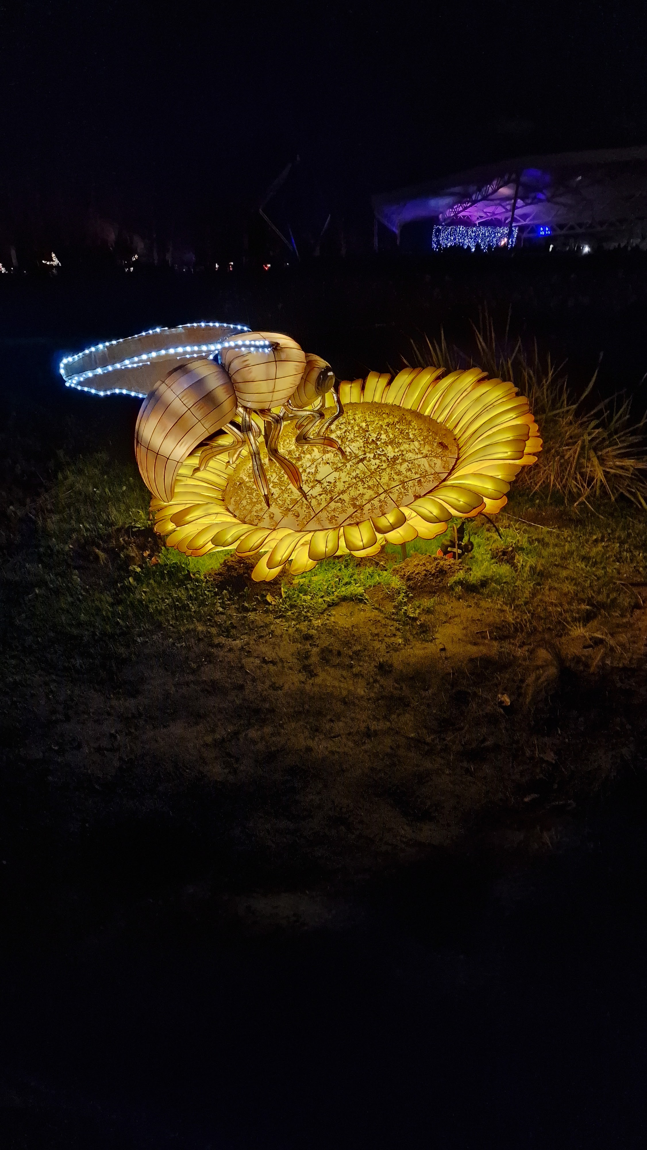 Photo n° 7 de l'avis de Marie.i fait le 29/12/2023 à 15:13