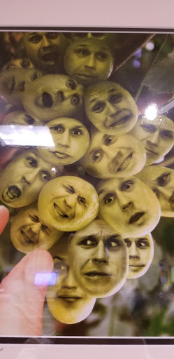 Wine Store «First Street Wine Co», reviews and photos, 2211 First St, Livermore, CA 94550, USA