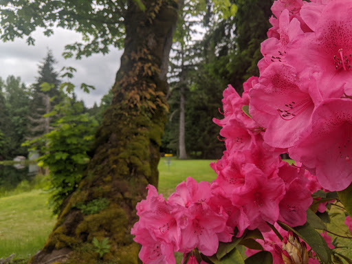 Golf Course «Cascade Golf Course», reviews and photos, 14319 436th Ave SE, North Bend, WA 98045, USA