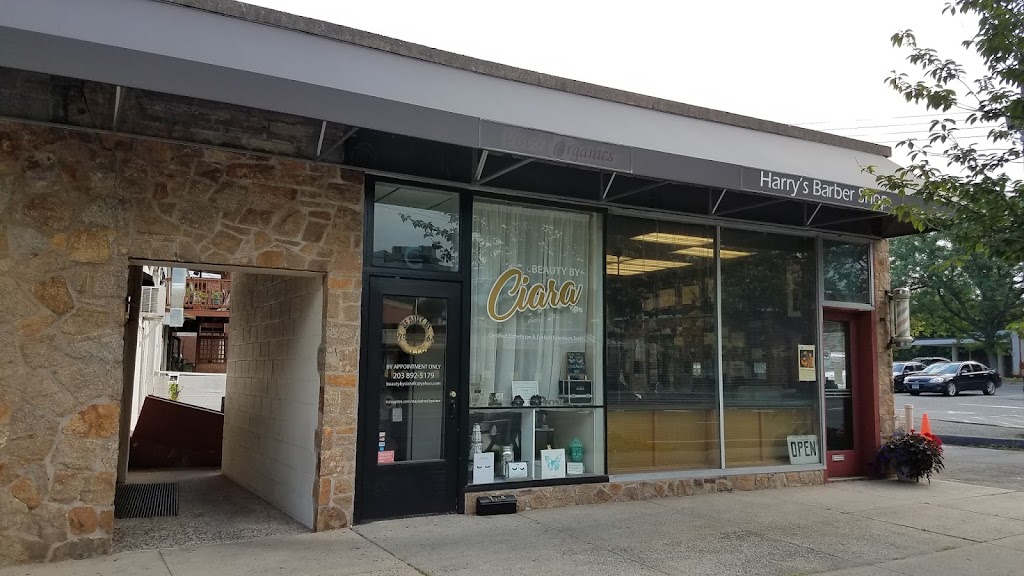 Stay Lashed By Ciara LLC 06518