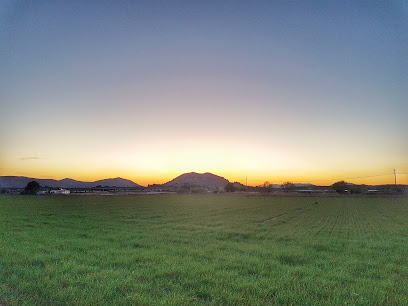 Parque local – Huerta de Villena – Villena