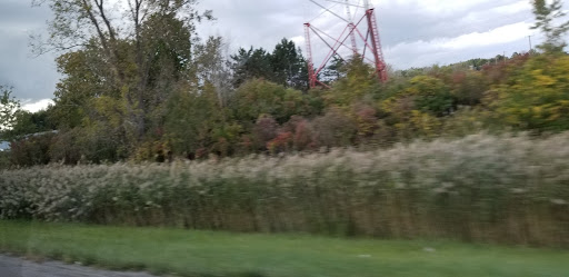 Florist «J.P. Diederich Sons Inc.», reviews and photos, 38599 Center Ridge Rd, North Ridgeville, OH 44039, USA