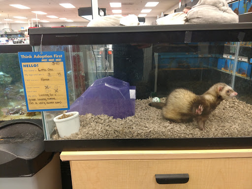 Pet Supply Store «Petco Animal Supplies», reviews and photos, 1450 Twixt Town Rd, Marion, IA 52302, USA