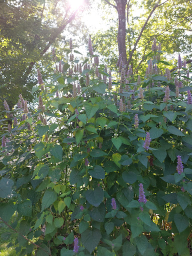 Nature Preserve «Beechwood Farms Nature Reserve», reviews and photos, 614 Dorseyville Rd, Pittsburgh, PA 15238, USA