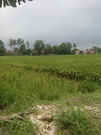 Foto MIS  Pui Pakubeureum I, Kabupaten Majalengka