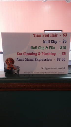 Pet Groomer «Premier Loving Care», reviews and photos, 48 E Washington St, Shelbyville, IN 46176, USA