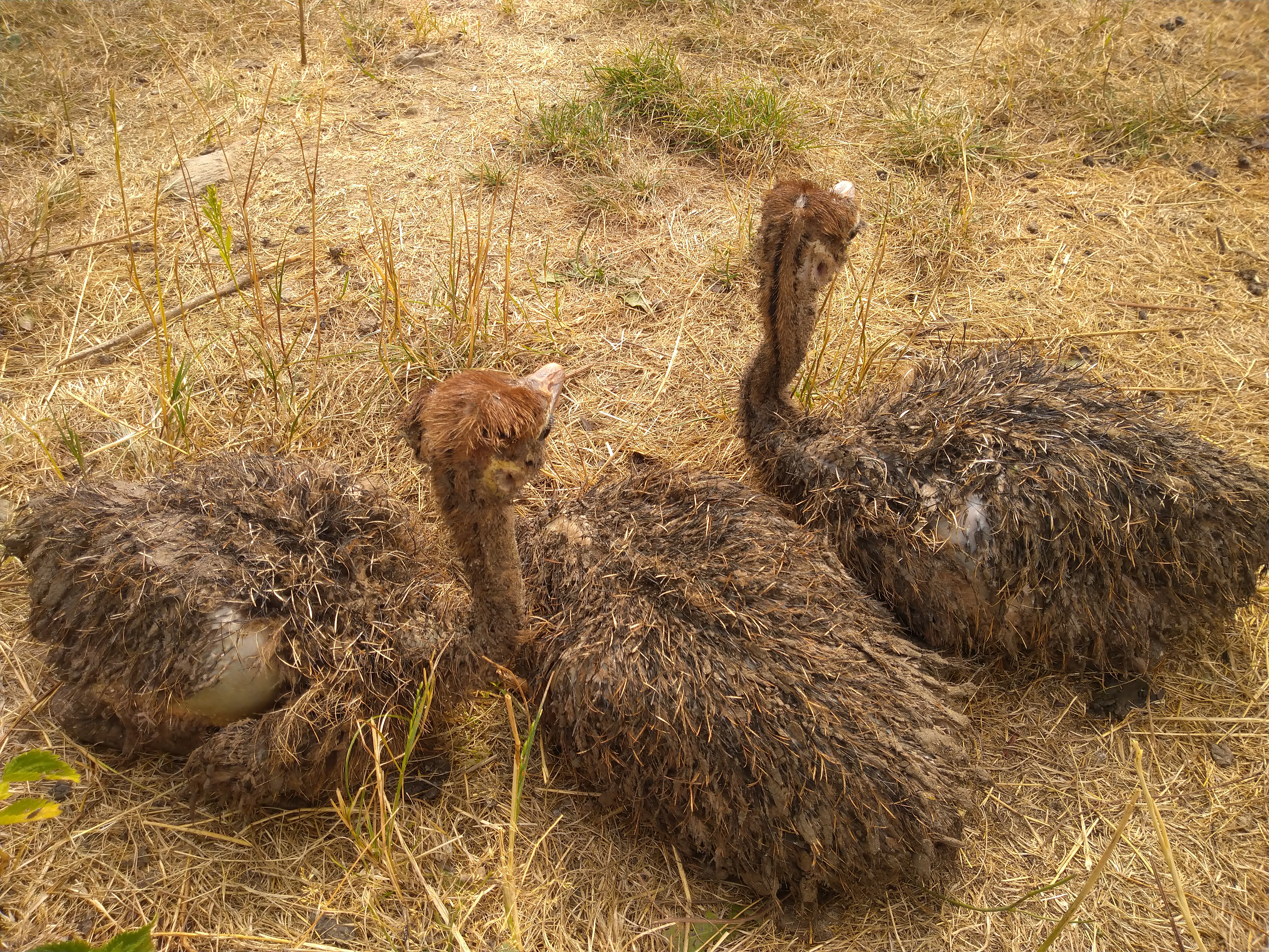 Photo n° 7 de l'avis de Dominique.e fait le 13/08/2020 à 19:03
