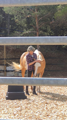 Equi Differences à Viam