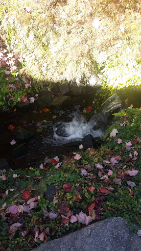 Winery «Eola Hills Wine Cellars», reviews and photos, 501 S Pacific Hwy W, Rickreall, OR 97371, USA