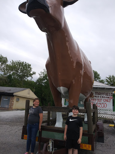 Ice Cream Shop «Chunky Monkey Ice Cream Shop», reviews and photos, 139 Little Senator Cir, Clinton, TN 37716, USA