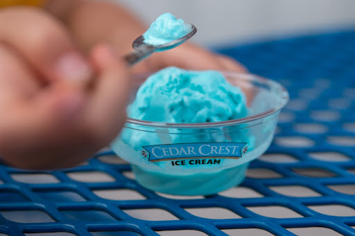 Ice Cream Shop «The Milk Pail», reviews and photos, 36 W Marshall St, Rice Lake, WI 54868, USA