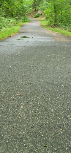 Hiking Area «Stony Brook Reservation», reviews and photos, Turtle Pond Pkwy, Hyde Park, MA 02136, USA