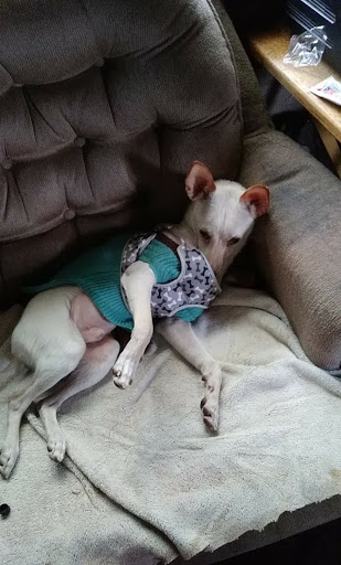 Harley-Davidson Dealer «Harley-Davidson of Sacramento», reviews and photos, 1000 Arden Way, Sacramento, CA 95815, USA