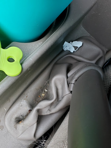 Car Wash «Busy Bee Car Wash (Miami Shores)», reviews and photos, 10550 Biscayne Blvd, Miami, FL 33138, USA