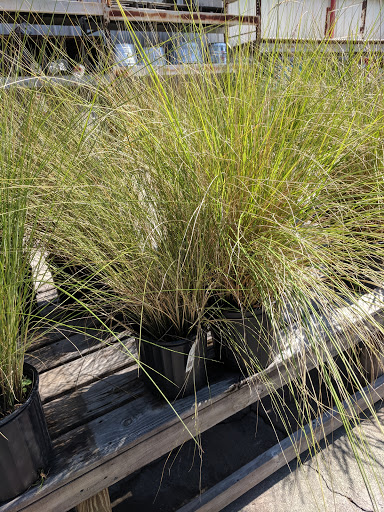 Hardware Store «Woodville Ace Hardware», reviews and photos, 9382 Woodville Hwy, Tallahassee, FL 32305, USA