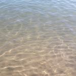 Photo n°10 de l'avis de Nicola.i fait le 10/09/2023 à 19:50 sur le  Hotel Acquario à Lido Campomarino