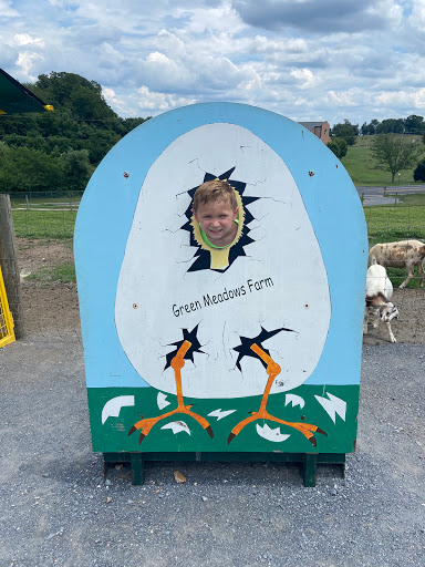 Camp «Fitwize 4 Kids Ashburn», reviews and photos, 21720 Red Rum Dr #112, Ashburn, VA 20147, USA