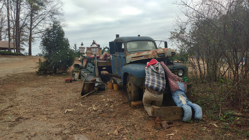 Christmas Tree Farm «Sleepy Hollow Farm & Escape Woods», reviews and photos, 628 Sleepy Hollow Rd, Powder Springs, GA 30127, USA