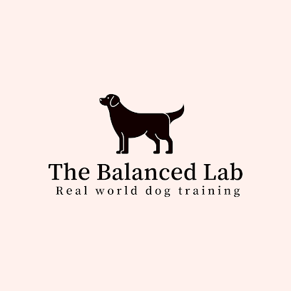 The Balnced Lab