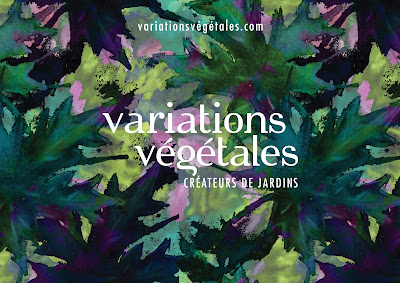 Variations Végétales à Meudon