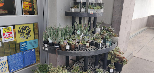 Grocery Store «Ralphs», reviews and photos, 306 S Twin Oaks Valley Rd, San Marcos, CA 92078, USA