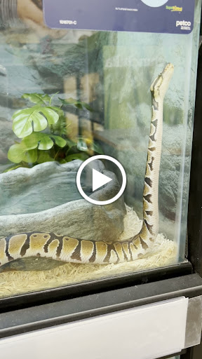 Pet Supply Store «Petco Animal Supplies», reviews and photos, 24413 Crenshaw Blvd #8, Torrance, CA 90505, USA