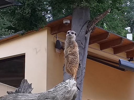 Herborn GmbH Zoo unter Herborn, 