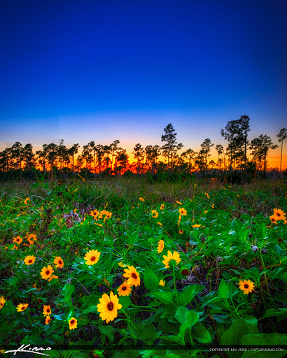 Nature Preserve «Cypress Creek Natural Area», reviews and photos, 10035 W Indiantown Rd, Jupiter, FL 33478, USA