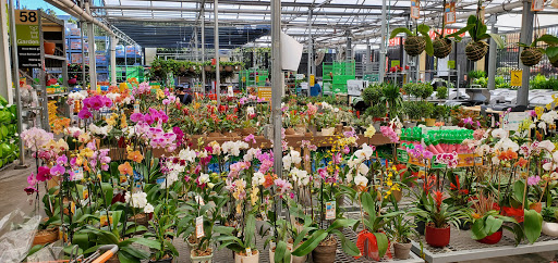 Home Improvement Store «The Home Depot», reviews and photos, 3183 SW 160th Avenue, Miramar, FL 33027, USA