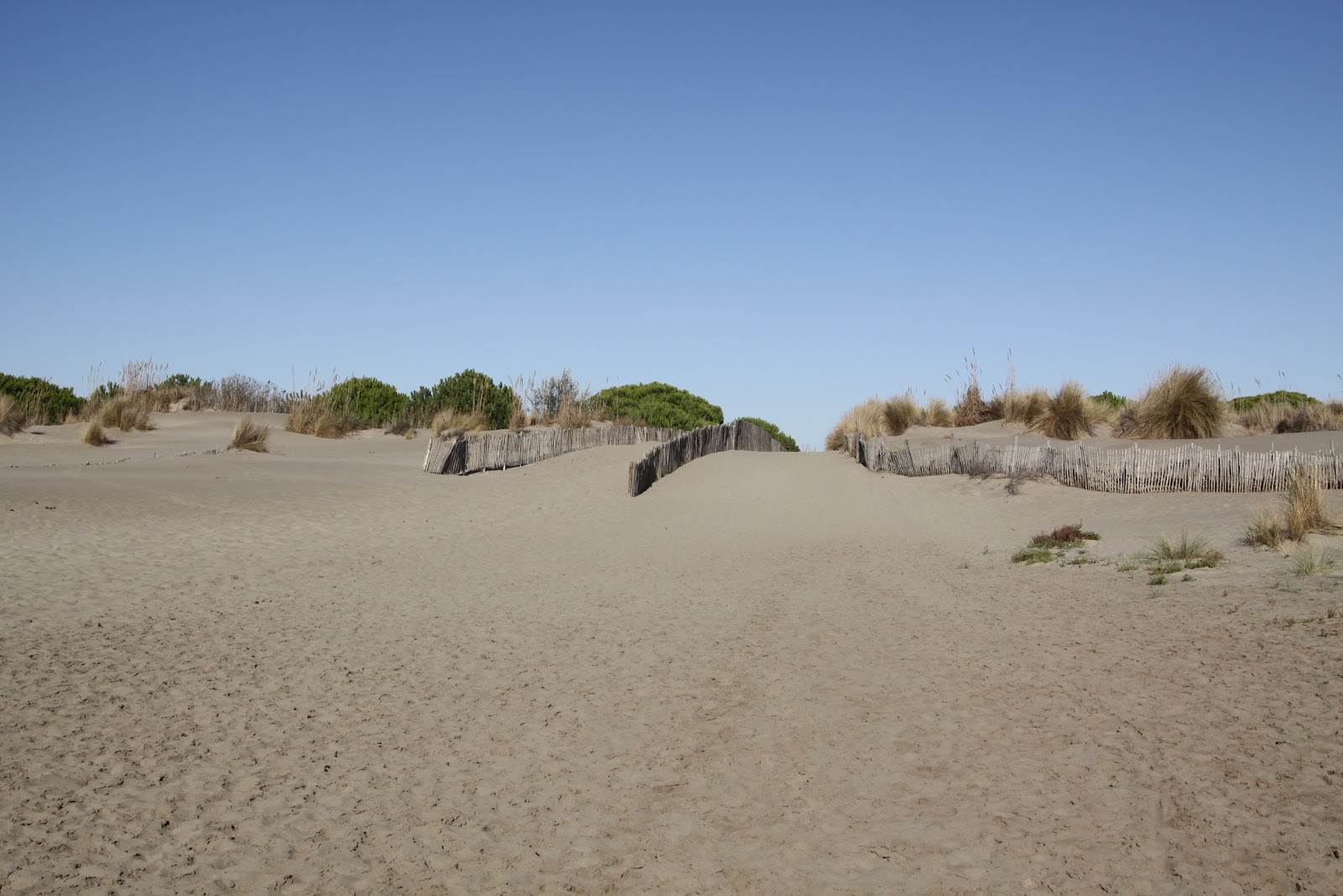 Fotografija Plaža Espiguette nahaja se v naravnem okolju