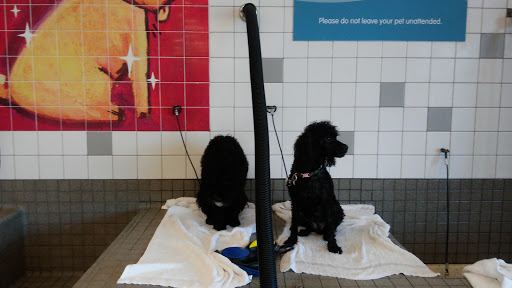 Pet Supply Store «Pet Food Express», reviews and photos, 3910 Middlefield Rd, Palo Alto, CA 94303, USA