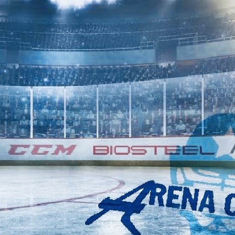 Arena on Ice Mannheimer Eishockey & Sportartikel GmbH