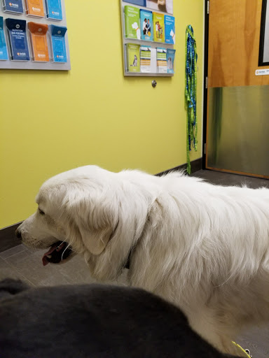 Pet Supply Store «PetSmart», reviews and photos, 2865 Oak Valley Dr, Ann Arbor, MI 48103, USA