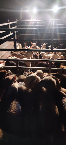 Κρεοπωλείο Περδικέας