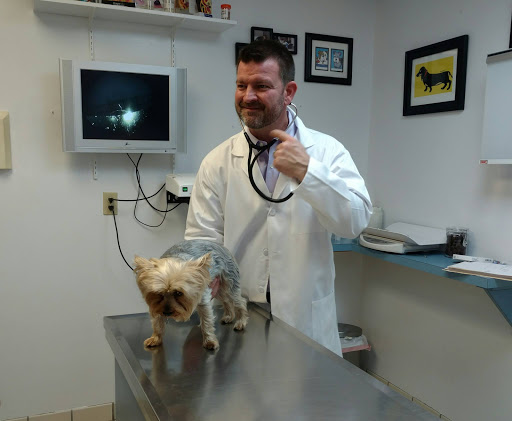 Care Animal Clinic image