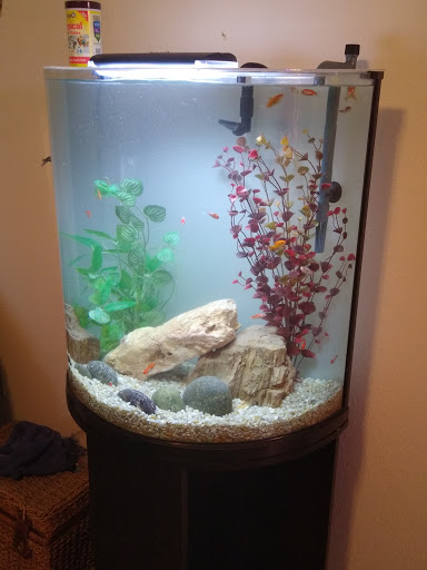 Tropical Fish Store «Aquarium Boutique», reviews and photos, 9035 Garland Rd, Dallas, TX 75218, USA