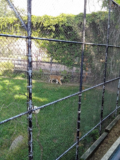 Amusement Park «Como Town», reviews and photos, 1301 Midway Pkwy, St Paul, MN 55103, USA