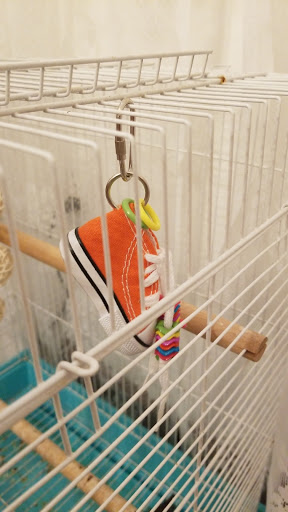 Pet Supply Store «Pet Supermarket», reviews and photos, 1125 Royal Palm Beach Blvd, Royal Palm Beach, FL 33411, USA