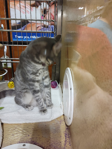 Pet Supply Store «PetSmart», reviews and photos, 26680 Centerview Dr, Millsboro, DE 19966, USA